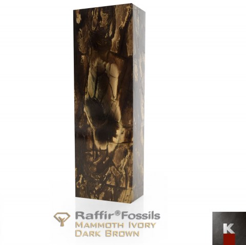 RaffirFossils-Ivory-yc-darkbrown2 K